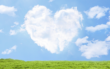 坂田薬品株式会社